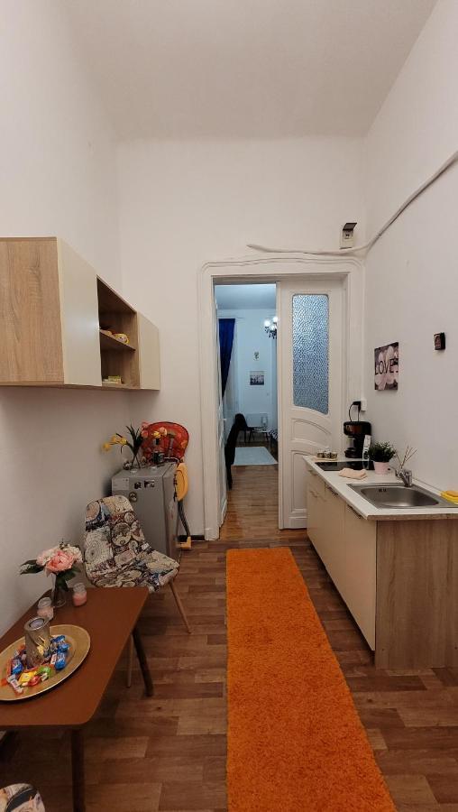 Opera Victoriei Residence - Ultracentral Cozy Accommodation Timisoara Exterior photo
